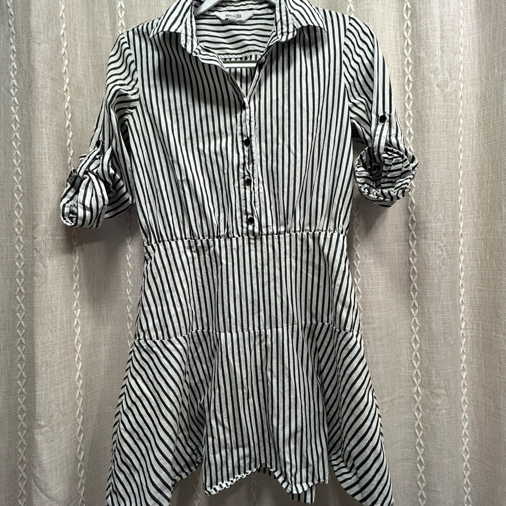BB Dakota Button Down Fit to Flare Dress